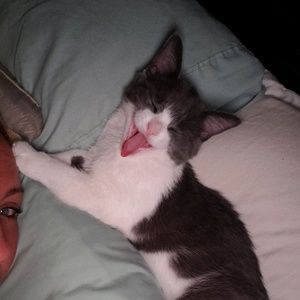 Meet your Posher, Christie